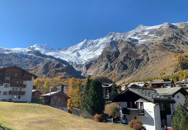Apartment in Saas-Fee - Romaine Apartment in Saas-Fee - Romaine