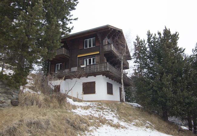 Chalet in Saas-Fee - Cresta di Saas Chalet in Saas-Fee - Cresta di Saas