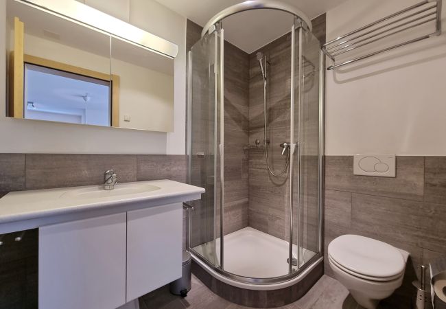 Apartment in Saas-Fee - Serac 1. OG Apartment in Saas-Fee - Serac 1. OG