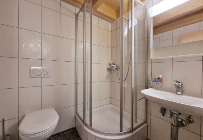 Apartment in Saas-Fee - Snow-Fun B Penthouse Apartment in Saas-Fee - Snow-Fun B Penthouse