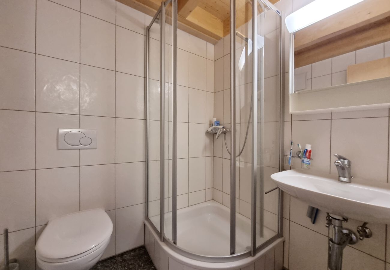 Apartment in Saas-Fee - Snow-Fun B Penthouse Apartment in Saas-Fee - Snow-Fun B Penthouse