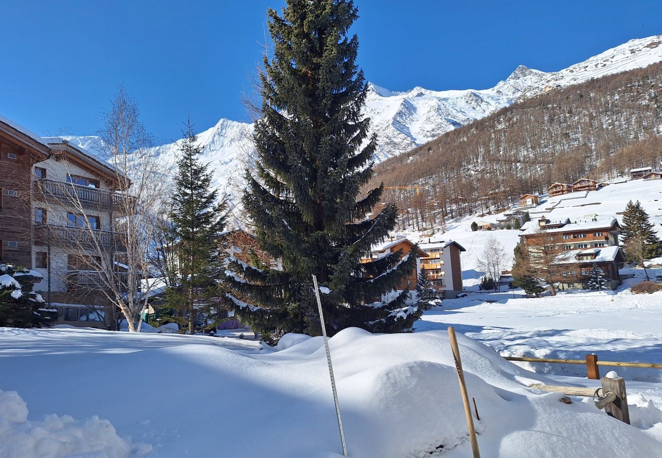 Apartment in Saas-Fee - Silberdistel EG Apartment in Saas-Fee - Silberdistel EG