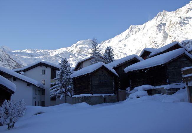 Appartement à Saas-Fee - Alpenhof Appartement à Saas-Fee - Alpenhof
