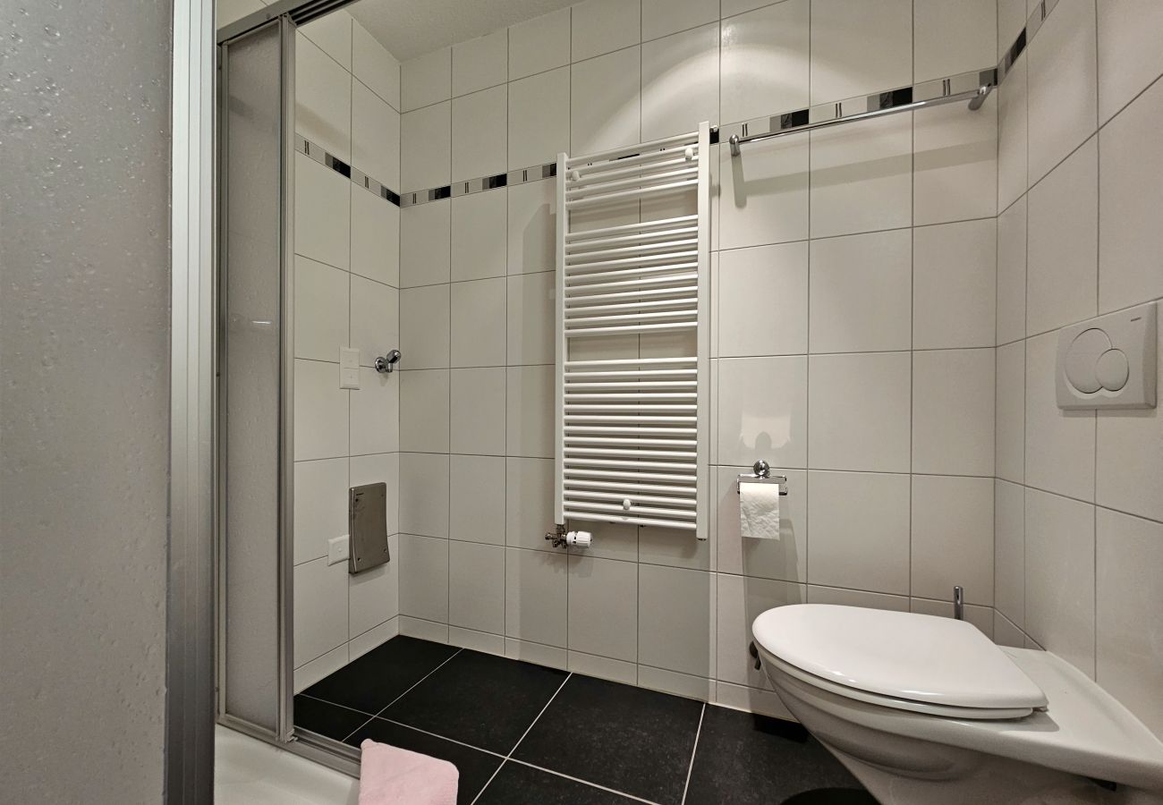Ferienwohnung in Saas-Fee - Felskinn 2. OG Ferienwohnung in Saas-Fee - Felskinn 2. OG