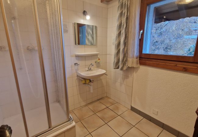Ferienwohnung in Saas-Fee - Etzel Ferienwohnung in Saas-Fee - Etzel